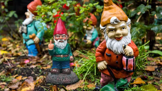 Nain de Jardin Doigt d'Honneur : L'Accessoire de Jardin Qui Ose Dire Ce Que Vous Pensez